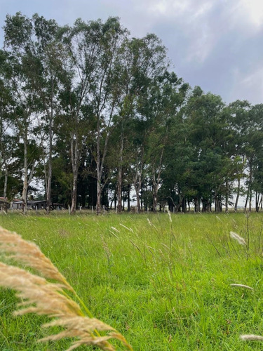 Se Venden Lotes De Preventa En Futuro Condominio En Marcos Paz