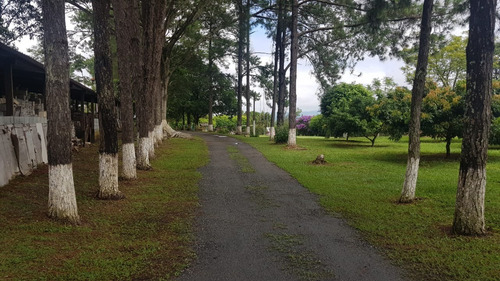 Imagem 12 de 29 de Chácara À Venda, 4 Quartos, 4 Suítes, Parque Residencial Itapeti - Mogi Das Cruzes/sp - 2617