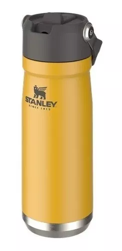 Garrafa Térmica Stanley Flip Straw 651ml Polar - Vou Comprar