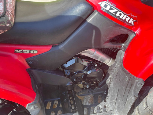 Imagen 9 de 15 de Cuatrimoto Suzuki Ozark Quadrunner 250 Modelo 2015 Impecable