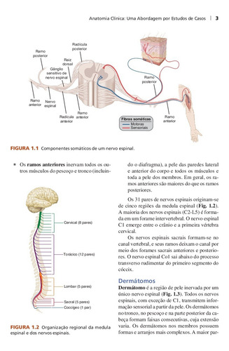 Anatomia Clínica: Uma Abordagem por Estudos de Casos, de Hankin, Mark H.. Editorial AMGH EDITORA LTDA.,McGraw-Hill Companies, Inc., capa mole em português, 2014