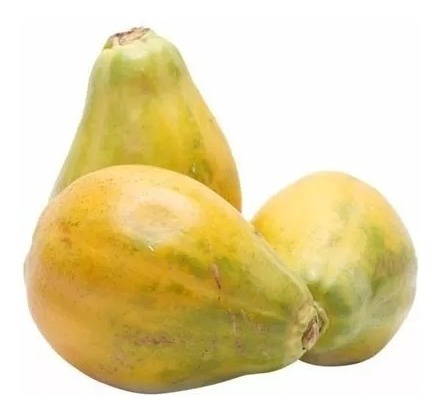 Mamão Anão Para Vasos - Fruta Frutas 50 Sementes Para Mudas