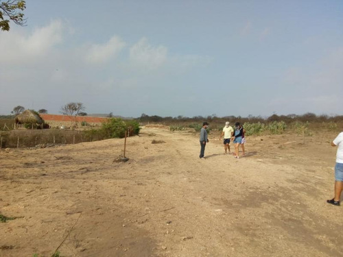 Imagen 9 de 13 de Lote En Venta