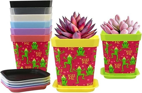 Gardening Containers Flower Pots (8 Colors) Kiss Me Frog Pl.