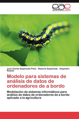 Libro: Modelo Para Sistemas De Análisis De Datos De Ordenado