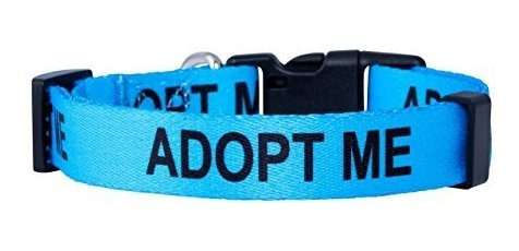 Native Pup Adopt Me Dog Collar (pequeño, Ypcgz