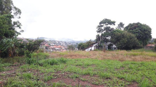 Imagem 8 de 19 de Ótimo Terreno Com Platô Pronto Em Santa Branca - Te0215