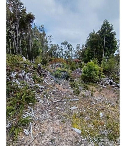 Parcela Con Acceso A Río Y Rol Propio