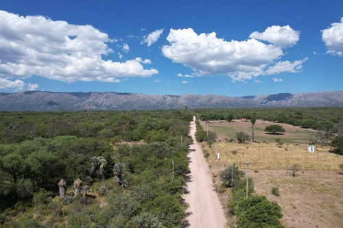 Imagen 7 de 8 de Venta De Terrenos Loteo Tierra Soñada Cortaderas San Luis