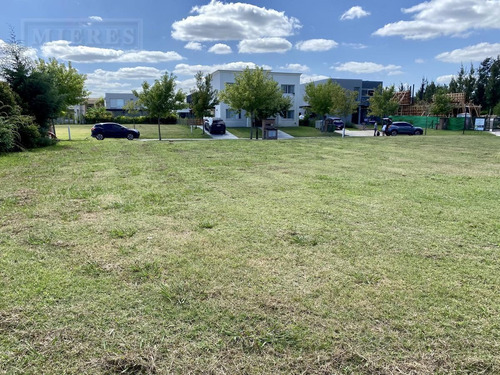Imagen 4 de 8 de Lote Interno En Venta. Tipas , Nordelta.