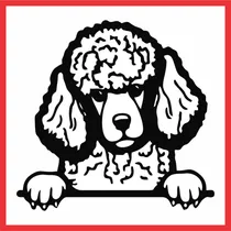 Comprar Calco Perro Caniche Vinilo Auto Motos Termo Compu