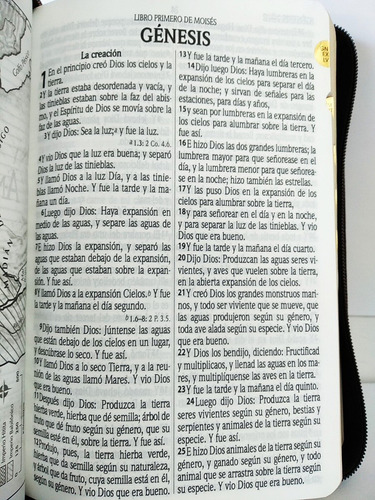Imagen 7 de 10 de Biblia Rvr60 Let Gde Imit Piel Café León Oro Cierre E Índice