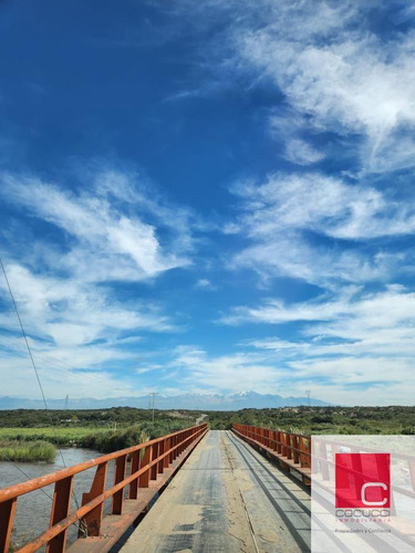Ruta 40 Anchoris