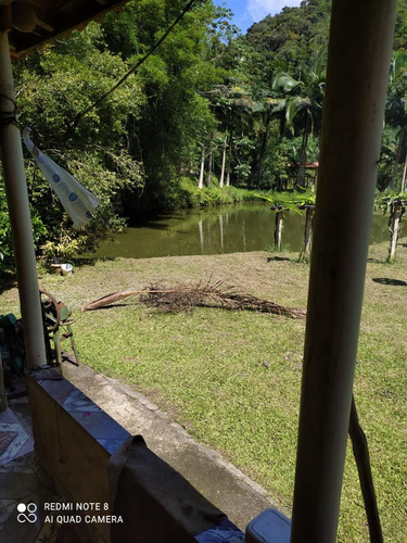 Imagem 23 de 24 de Sítio Com 03 Lagos, Nascentes, Fogão A Lenha, Churrasqueira, Árvores Frutíferas Sendo 70 Pés De Lichia, 150 Pés De Pitaia, No Bairro Faú Em Miracatu, Com 38.000 M² De Área Total Ref: Ch132/ac