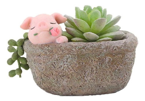 Maceta Para Decoración Del Hogar, Maceta Suculenta De Cerdo,