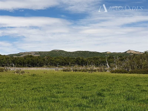 Imagen 15 de 30 de Sitio En Venta En Coihaique