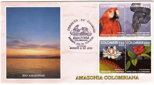 Anaconda Papagayo Sobre Primer Día 1993 Amazonía Colombiana