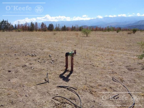 Campo En Venta De 300 Has Santa Maria, Catamarca