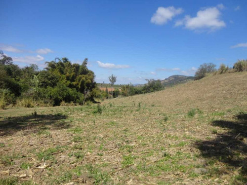 Imagem 3 de 30 de Fazenda De Café Em Monte Sião-mg - 7676