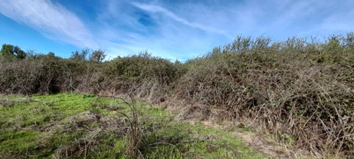 Campo Para Inversión En San Carlos