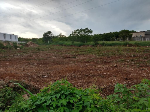 Venta De Terreno En Dzitya, Merida, Yucatán 