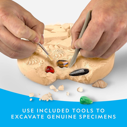 National Geographic - Kit De Excavación De Mega Fósiles Y Pi