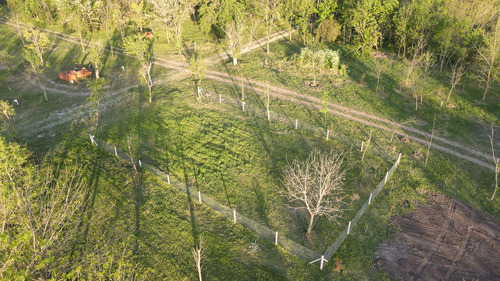 Terreno En Venta En Moreno