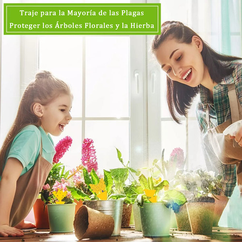 60pcs Trampa Pegajosa Insectos Control Plagas Atrapa Moscas