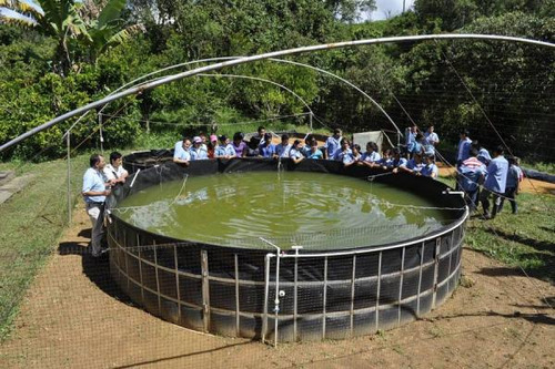 Fabricacion De Bolsas De Geomembrana