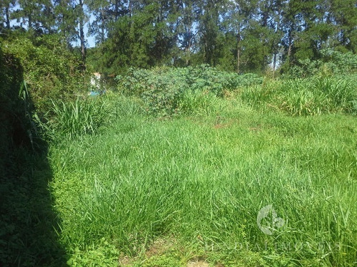 Imagem 8 de 12 de Terreno De 1.261,00 M², Próximo Do Paço Municipal De Jundiaí - Te00015 - 2451825