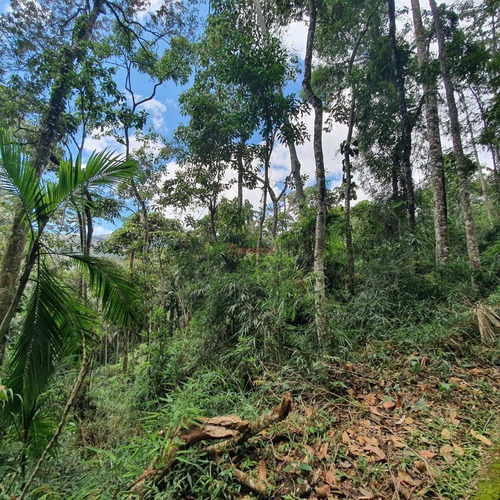 Imagem 1 de 1 de Terreno Com 1.200m² Em Santa Rita - Teresópolis/rj - Te00480 - 71126608