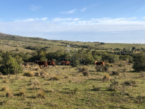 Imagen 5 de 10 de Chacra En Las Sierras De Las Cañas
