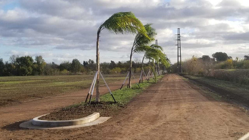 Imagen 3 de 8 de Sarmiento Chico Loteo Venta En Lujan