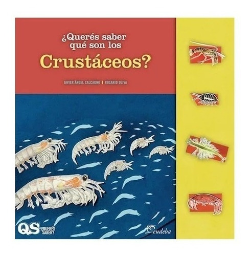 ¿querés Saber Qué Son Los Crustáceos? Nuevo!