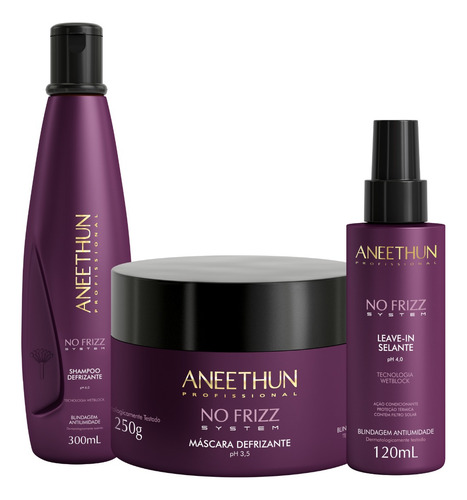 Kit Disciplinante No Frizz Aneethun 3 Produtos Frizz Zero