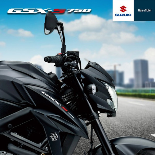 Suzuki Gsx S750 A