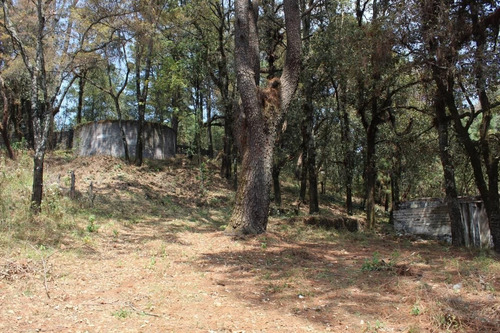 Imagen 1 de 10 de Terreno Grande Y Económico