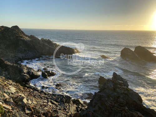 Sitios Venta, Entre Topocalma Y Pichilemu, 5.000 M2, Vista