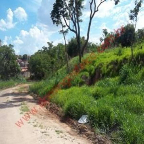 Imagem 7 de 10 de Venda - Terreno - Vila Dainese - Americana - Sp - D4070