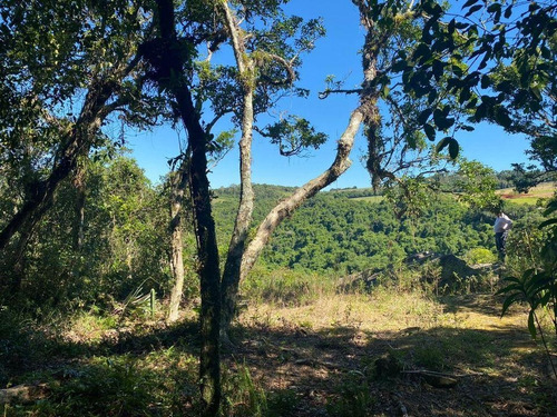 Imagem 5 de 15 de Chácara Para Venda Em Novo Hamburgo, Lomba Grande, 1 Dormitório, 1 Banheiro - 10058_2-1292120