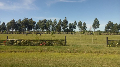 Imagen 7 de 14 de Villa Renata Arroyo Vega - Esquina - Corrientes - Argentina