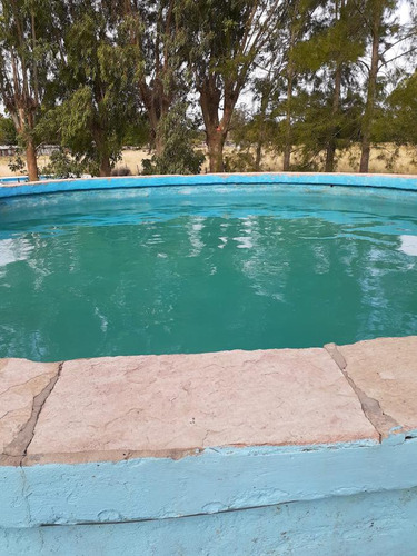 Casa Quinta En Venta - 2 Dormitorios 2 Baños - Cochera - 2.475 Mts2 - Berisso