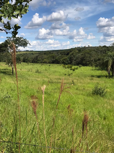 Imagem 30 de 30 de Chácara Em Centro, Martinho Campos/mg De 750m² 1 Quartos À Venda Por R$ 60.000,00 - Ch2330369-s