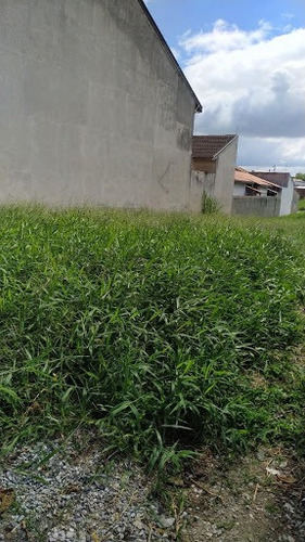 Imagem 1 de 2 de Terreno Com Ótima Topografia Tamanho Diferenciado - Te0082