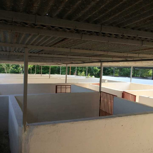 Imagen 16 de 22 de Finca En Tinaquillo Con 132 Hectáreas, Excelente Oportunidad