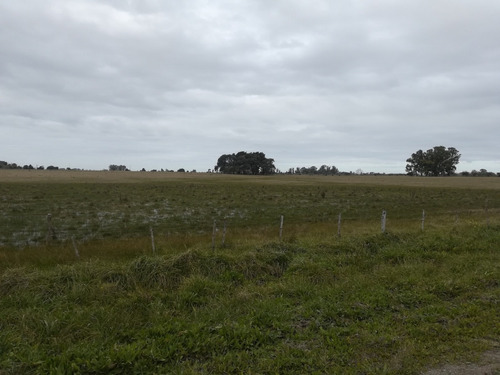 430 Hectareas 60% Agrícola Sobre Ruta 11.