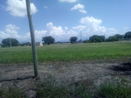 Imagen 2 de 5 de Venta De Terreno En Bosque Del Ceibal Ii