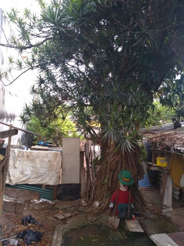 Imagem 13 de 15 de Terrenos Ou Lotes Comerciais Para Venda No Bairro Centro Em Guarulhos - Cod: Ai22536 - Ai22536