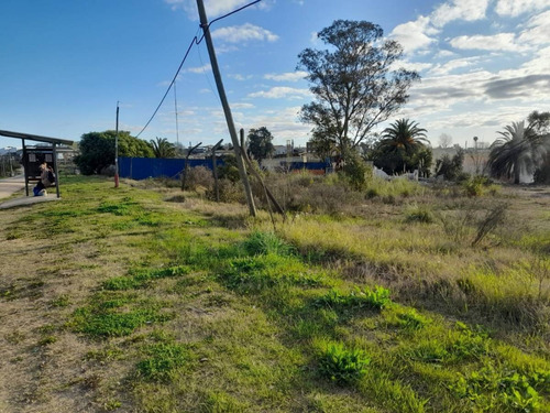 Imagen 13 de 14 de Gran Terreno Con Arroyo Y Casa De 2 Dormitorios En Las Piedras