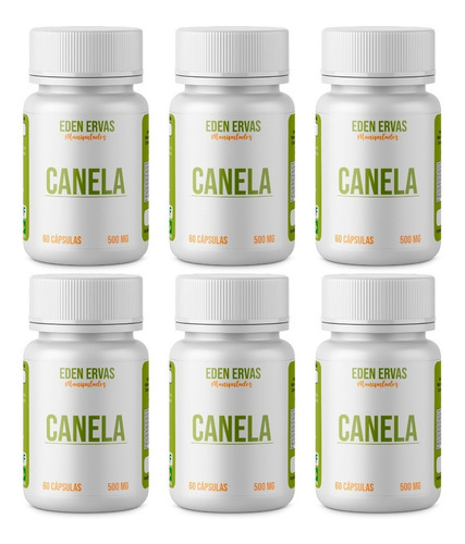 Canela (multi Benefícios) Em Pó Cápsulas/ 500mg Kit 6 Potes Sabor Sem Sabor